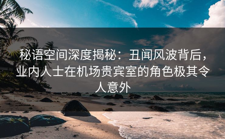 秘语空间深度揭秘：丑闻风波背后，业内人士在机场贵宾室的角色极其令人意外