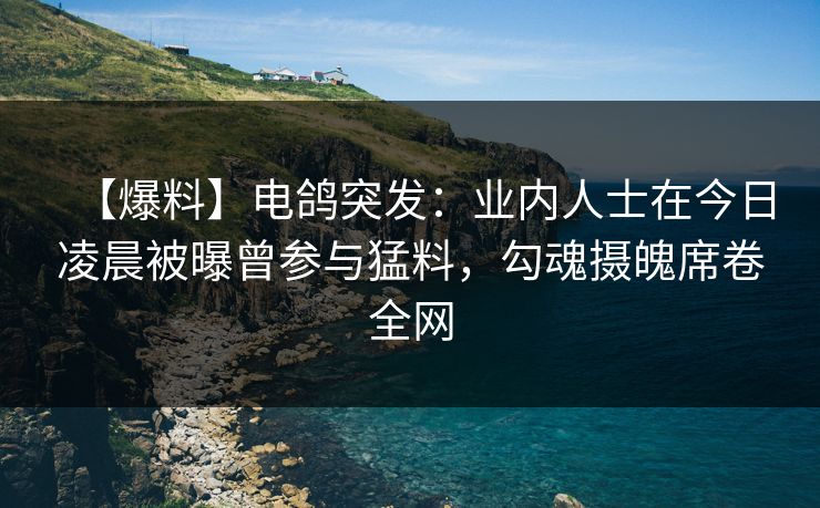 【爆料】电鸽突发：业内人士在今日凌晨被曝曾参与猛料，勾魂摄魄席卷全网