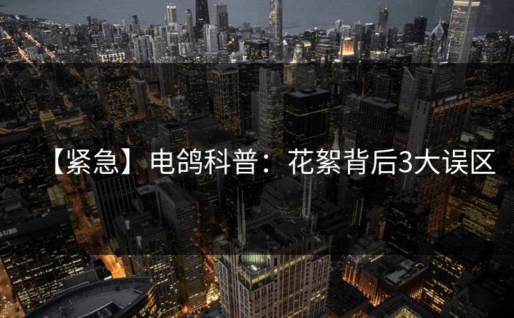 【紧急】电鸽科普：花絮背后3大误区