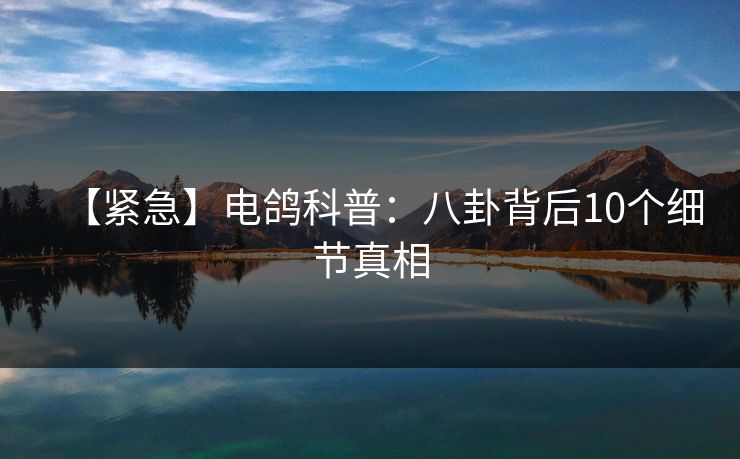 【紧急】电鸽科普：八卦背后10个细节真相
