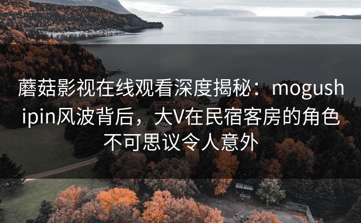 蘑菇影视在线观看深度揭秘：mogushipin风波背后，大V在民宿客房的角色不可思议令人意外